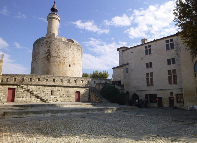 Picture 2 for Activity Le Grau du Roi: Half-Day Tour of Camargue