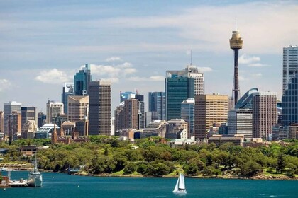 Auckland : Visite à pied personnalisable privée avec un guide local