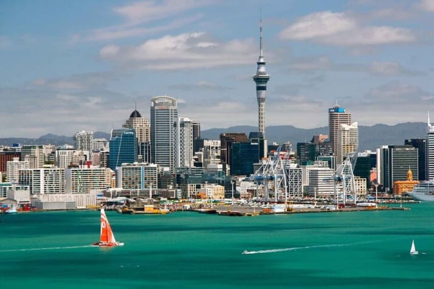 Picture 4 for Activity Auckland: Private Customizable Walking Tour with Local Guide