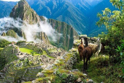 Private Full Day Tour to Machu Picchu