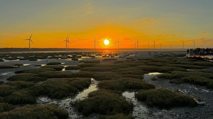 Trip from Taipei to Taichung Chung She Flower and Gaomei Wetland