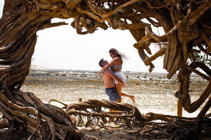 Complete Tours in Jericoacoara