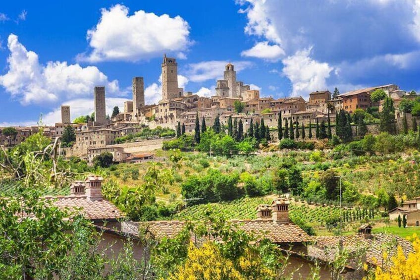 Full Day Private Pisa, Siena and San Gimignano Tour from Florence