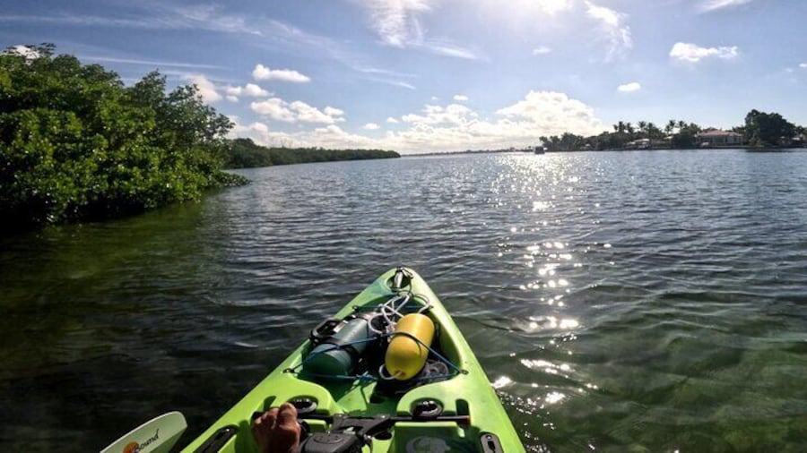 Lido Key Pedal Kayak Tour