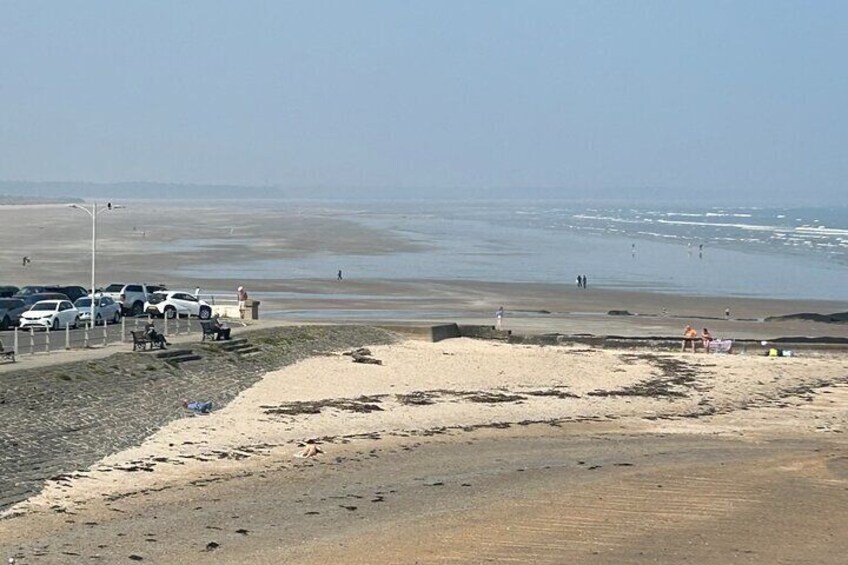 St Andrews Beech
