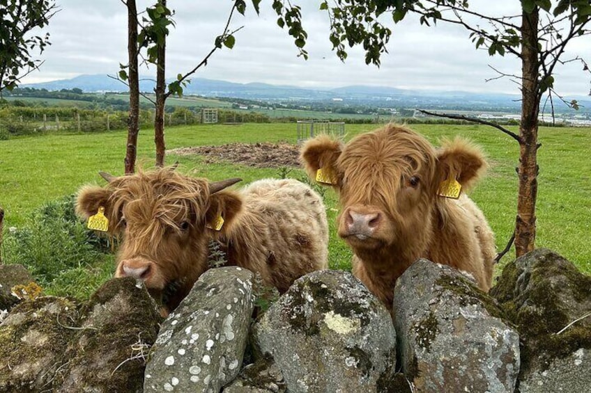 St Andrews and Fishing Villages of Fife from Stirling Day tour