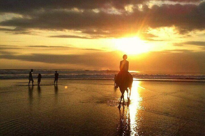 Seminyak Horse back riding bali Under sunset