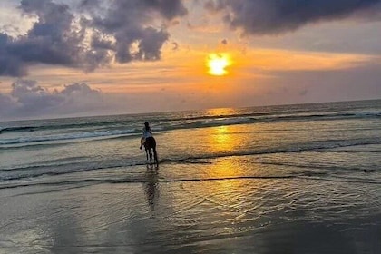Sunset Horse Riding Seminyak Beach Bali