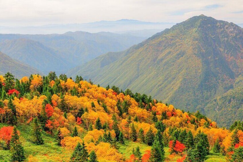 From Takayama: Alpine Splendor - Shinhotaka Ropeway and Kamikochi