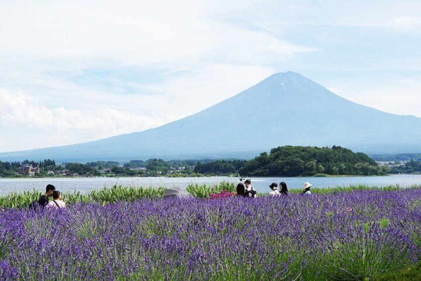 Private Full Day Tour in Mt. Fuji with Pickup