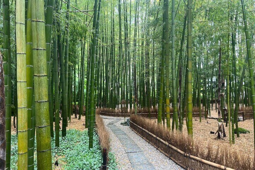 Small bamboo spot at Hokokuji temple