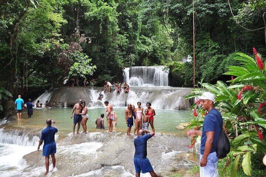 YS Falls 3 in 1 Tour from Negril