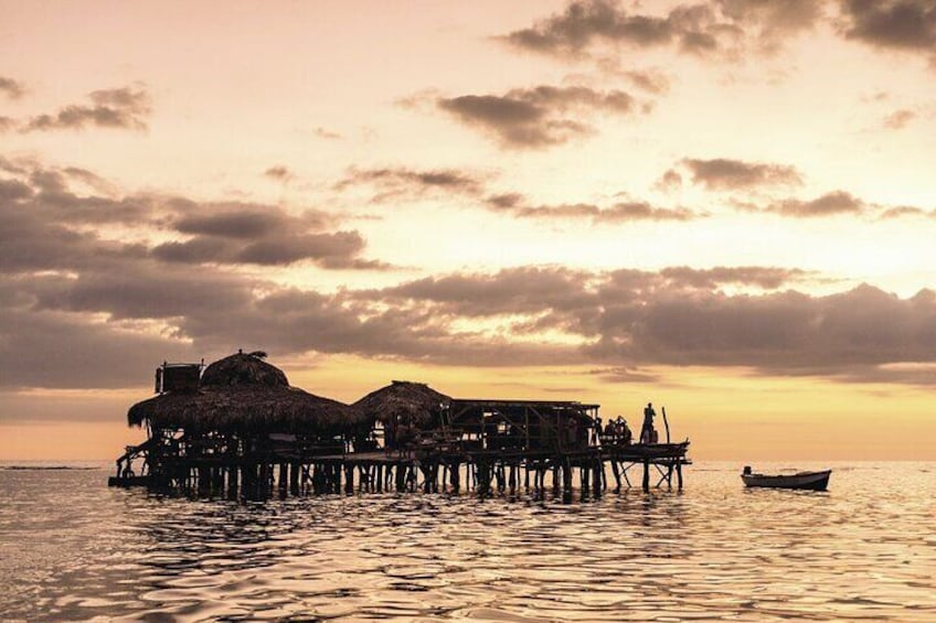 Pelican Bar 3 in 1 Tour from Negril