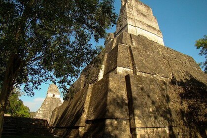 Tikal Full-Day Group Tour