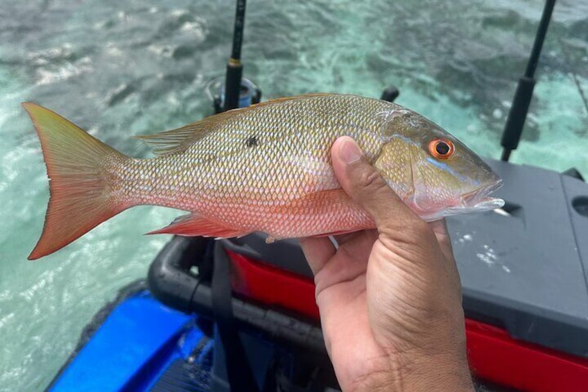 Guided Jet Ski Fishing in Ambergris Caye