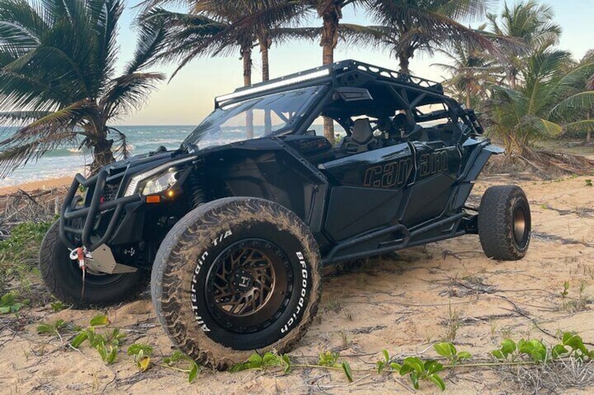 Can am Maverick x3 Black RR