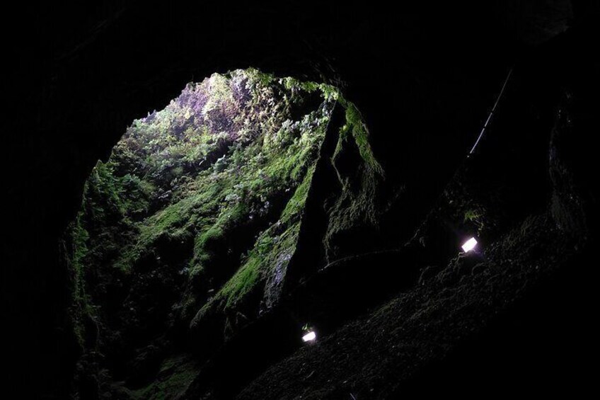 Private Caves Tour with a Geologist