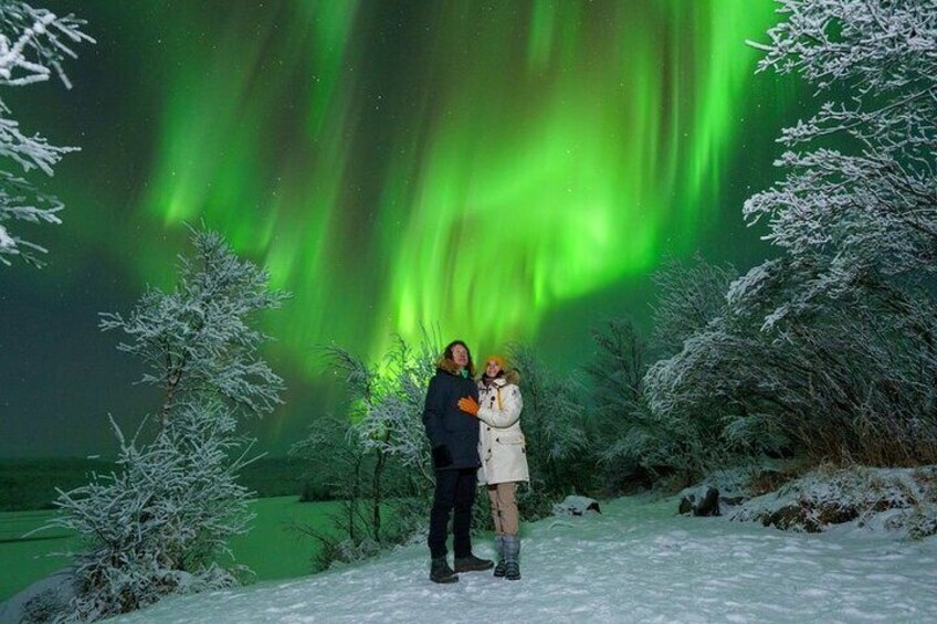 Aurora Borealis Experience in Sonkamuotka