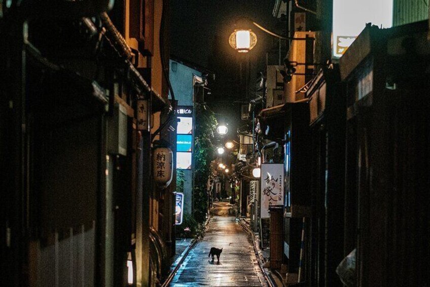 Kyoto Wonders at Night - Nishiki Market, Gion & Secrets