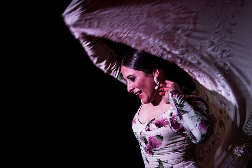 Flamenco Show in Madrid