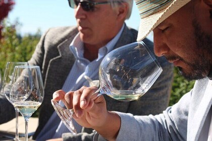 Wine Maker Hosted Wine Tasting Private Tour with Artisan Lunch