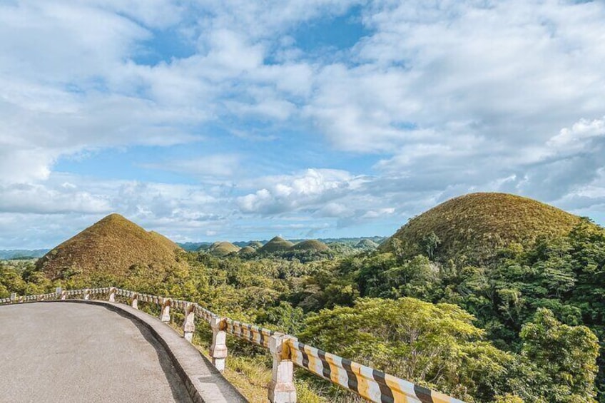 Bohol and Cebu Private Day Tour with Roundtrip Transfers