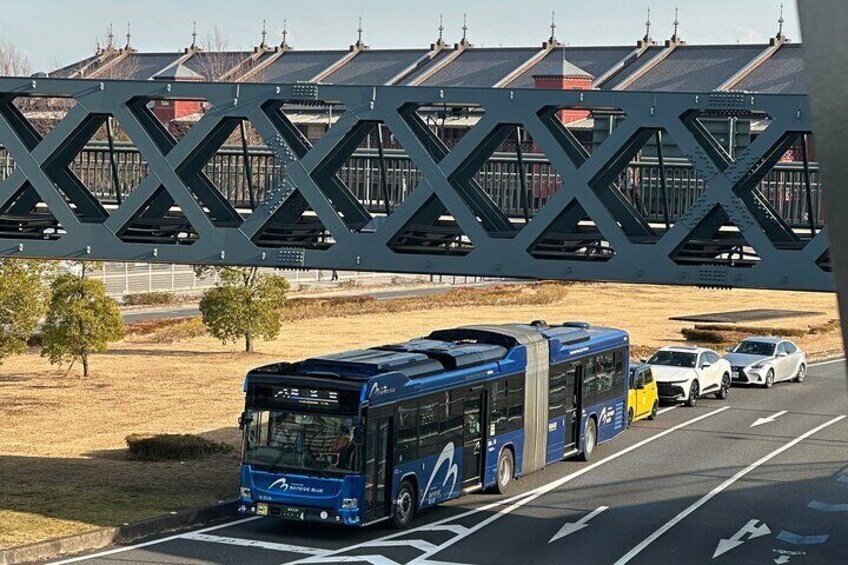 Bayside Blue Bus