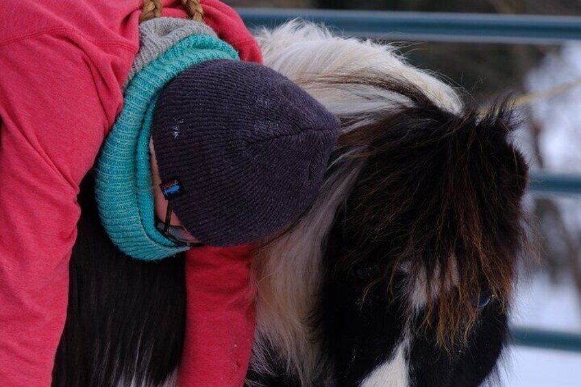 Yoga with Horses