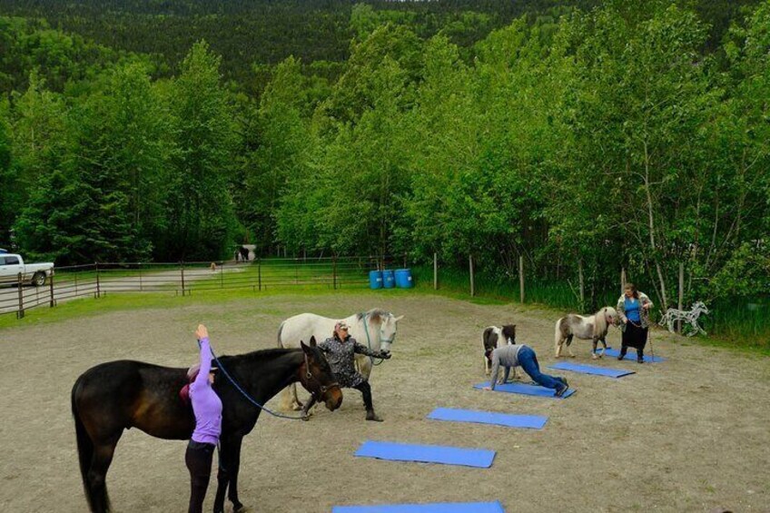 Yoga with Horses