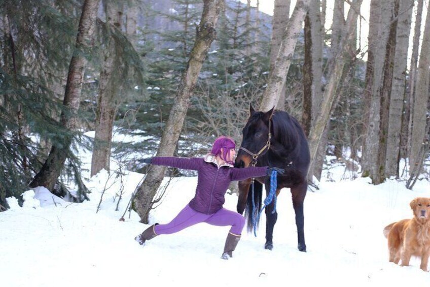 Yoga with Horses