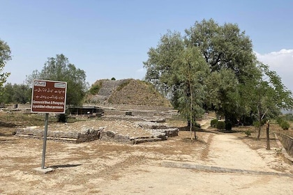 Full Day Tour To The Ancient City Of Taxila From Islamabad