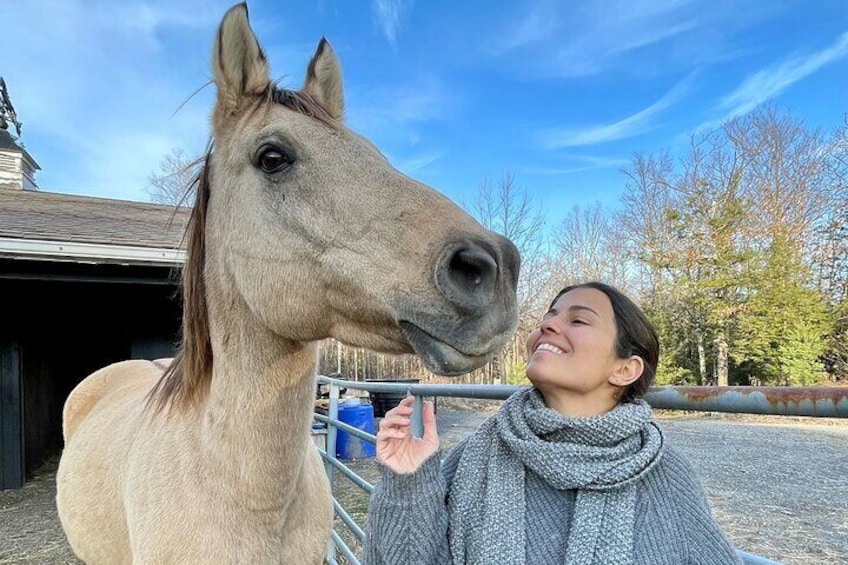 All our animals are incredibly friendly and enjoy engaging with guests on tours.