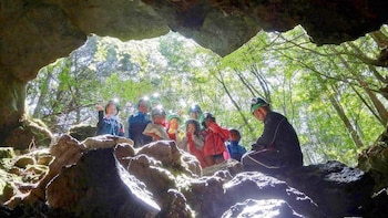 Private Aokigahara Forest & Ice Cave Tour