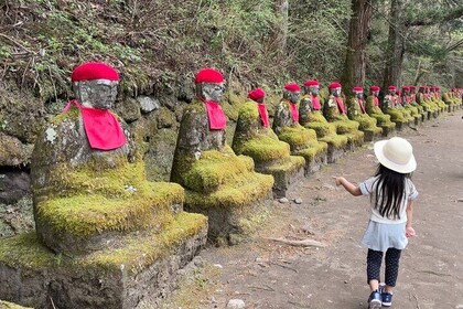 1 Day Nikko Walking Tour, Toshogu and Kanmangafuchi from Tokyo