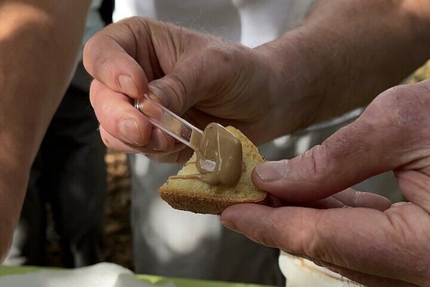 Halzenut cream tasting