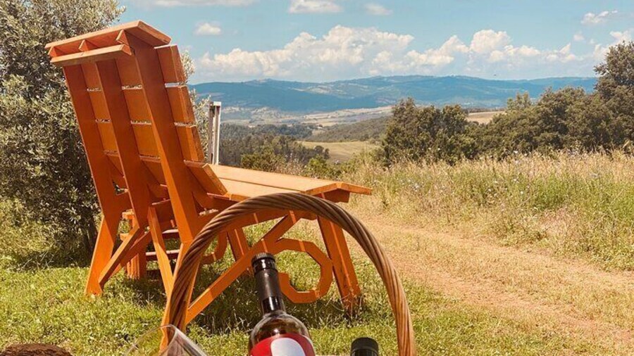 Lunch Picnic tra le colline della Maremma toscana