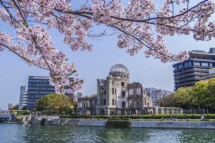 4 Hour Private Tour Highlight of Hiroshima with Licensed Guide