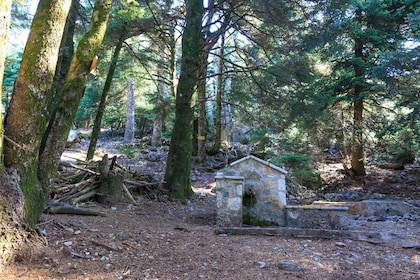 Parnitha (Parnis) / Skipiza & Mola loop - Hike near Athens