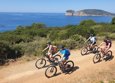 Alghero: E-Bike-Tour durch den Naturpark Porto Conte