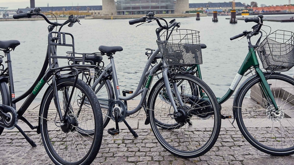 Picture 2 for Activity Copenhagen: Guided E-Bike Tour