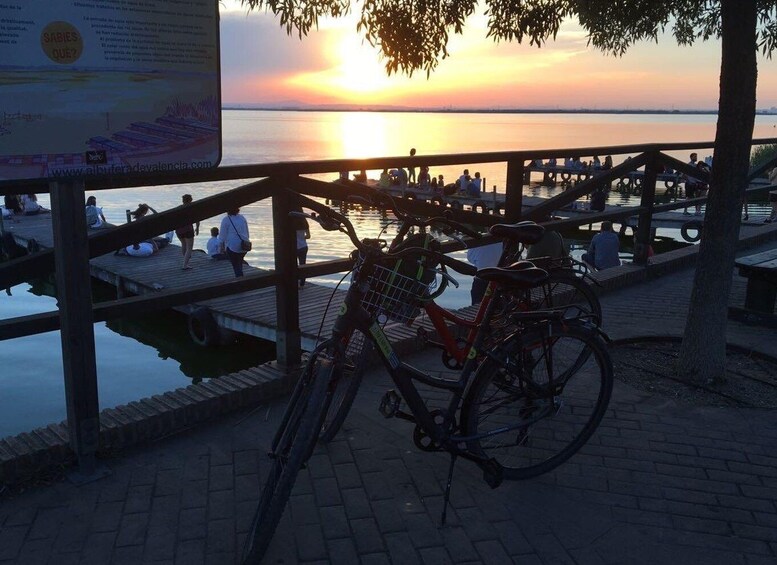 Picture 10 for Activity Valencia: Albufera Natural Park Bike and Boat Tour