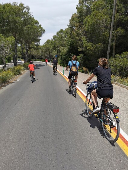 Picture 5 for Activity Valencia: Albufera Natural Park Bike and Boat Tour