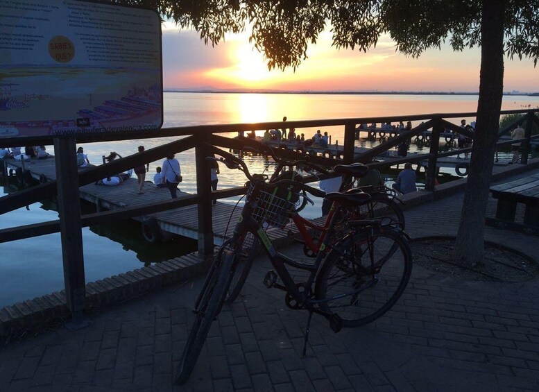 Picture 10 for Activity Valencia: Albufera Natural Park Bike and Boat Tour