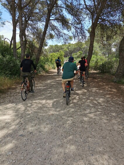 Picture 7 for Activity Valencia: Albufera Natural Park Bike and Boat Tour