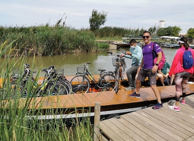 Valencia: Sykkel- og båttur i naturparken Albufera