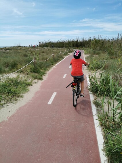 Picture 9 for Activity Valencia: Albufera Natural Park Bike and Boat Tour