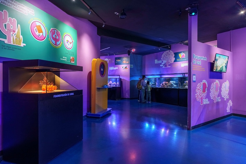 Ticket to Acuario Inbursa CDMX