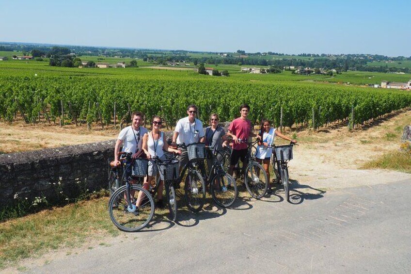 From Saint-Emilion : Half Day Electric bike Wine Tour