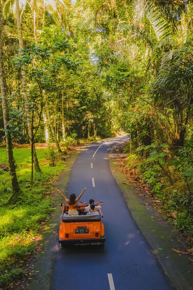 Picture 19 for Activity Ubud: Classic Vintage Volkswagen Custom Tour