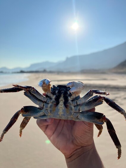 Picture 11 for Activity Salalah: Tour to Fazayah Beach & Swimming